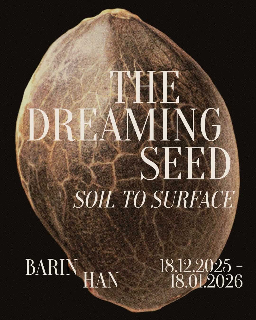 The Dreaming Seed — sergi tasarımı ve kurulumu