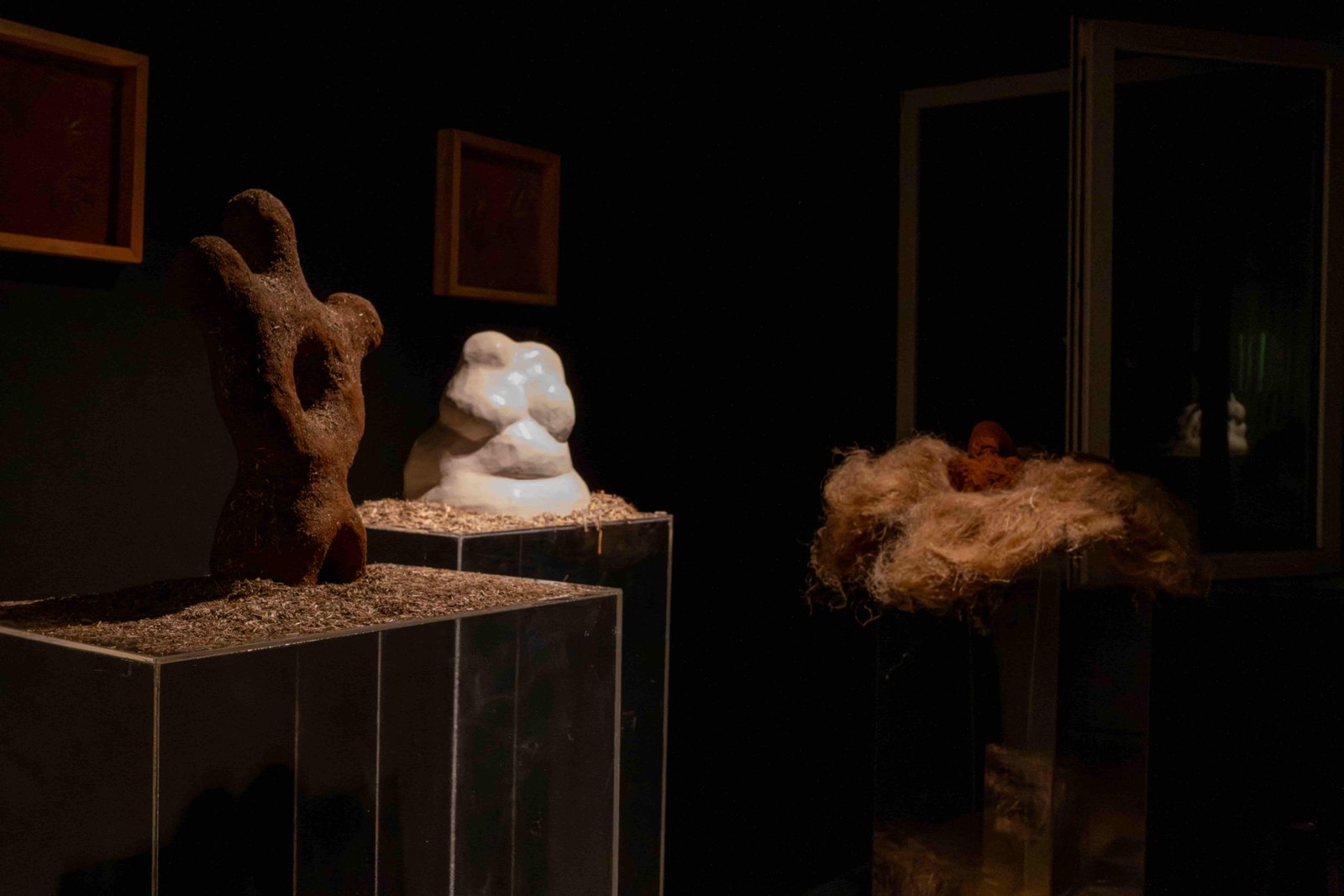 The Dreaming Seed — küçük görsel 7